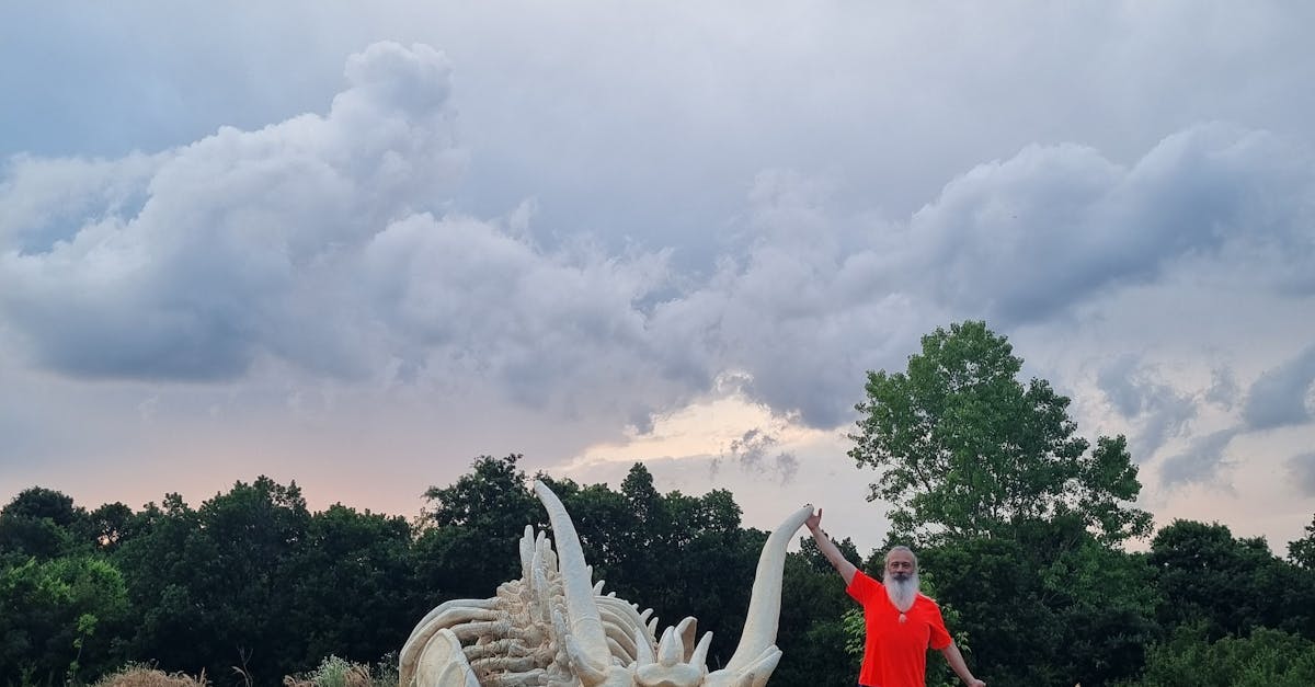 A Guide to Selecting the Best Artificial Grass for Sports Fields