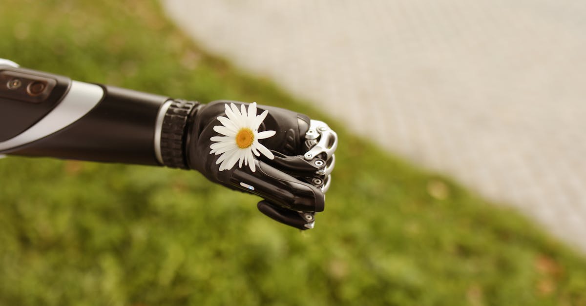 Choosing the Right Cleaning Tools for Artificial Grass