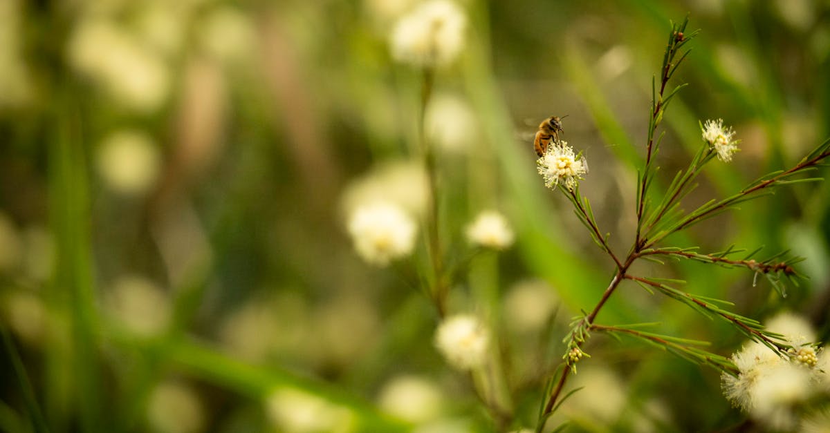 Comparing Initial Investment vs. Ongoing Savings with Synthetic Turf