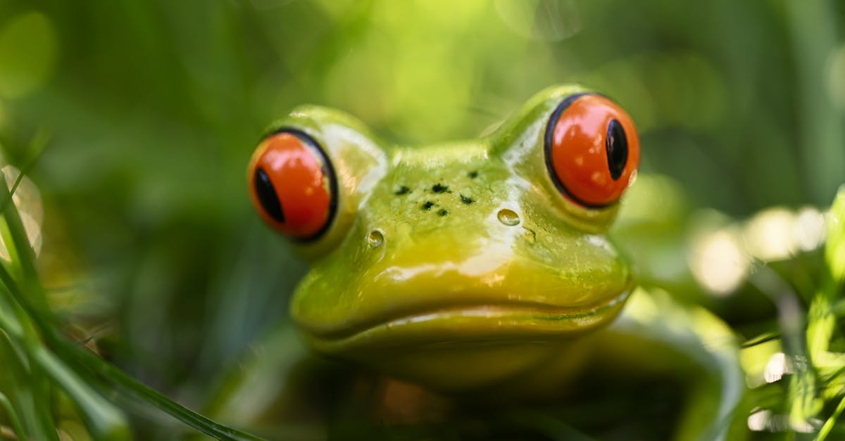 Designing Unique Outdoor Havens with Artificial Turf