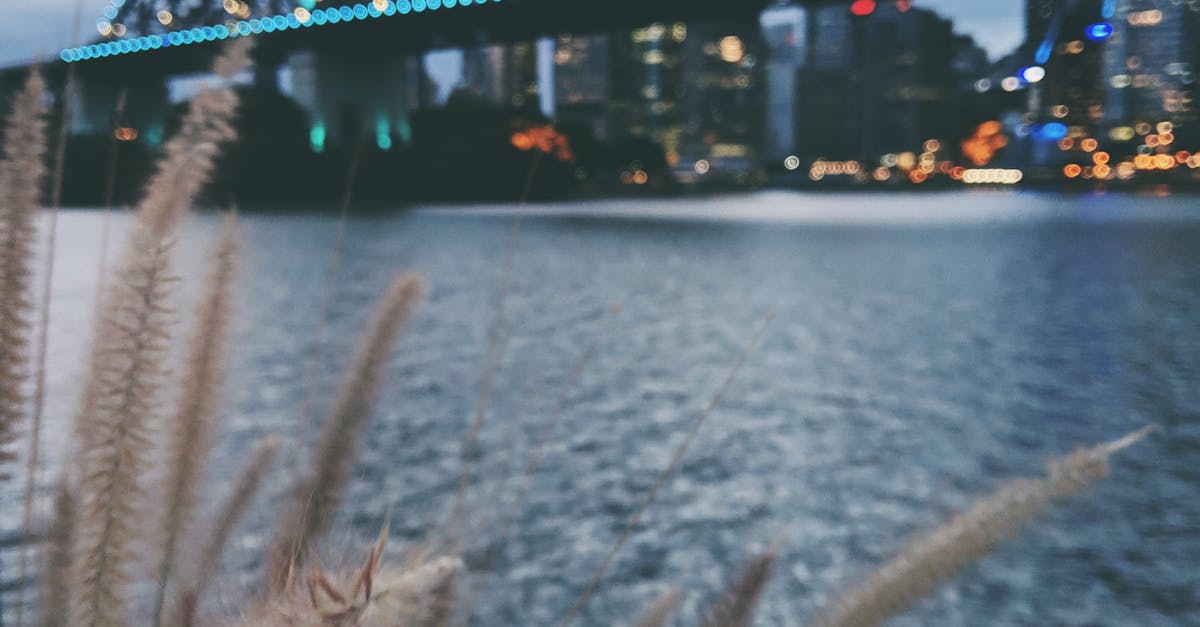 Essential Accessories for a Flawless Artificial Grass Setup