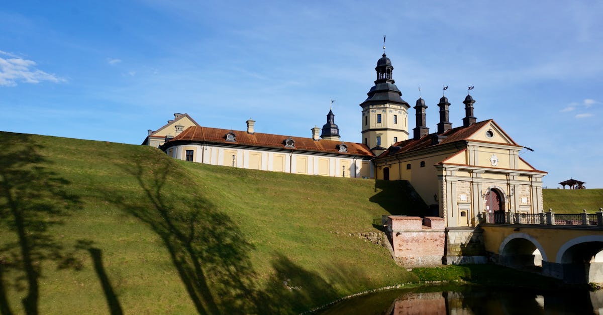 Essential Techniques for Installing Artificial Grass on Slopes