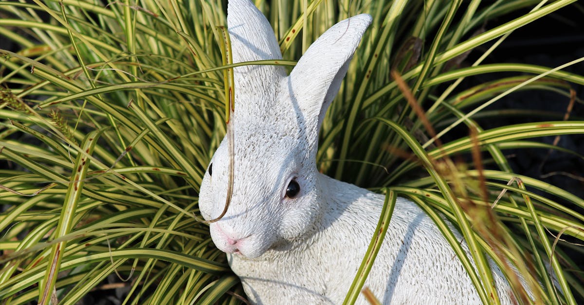 Essential Tools for Repairing Artificial Grass