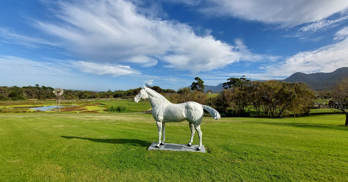 Evaluating Carbon Footprint Reduction with Artificial Grass