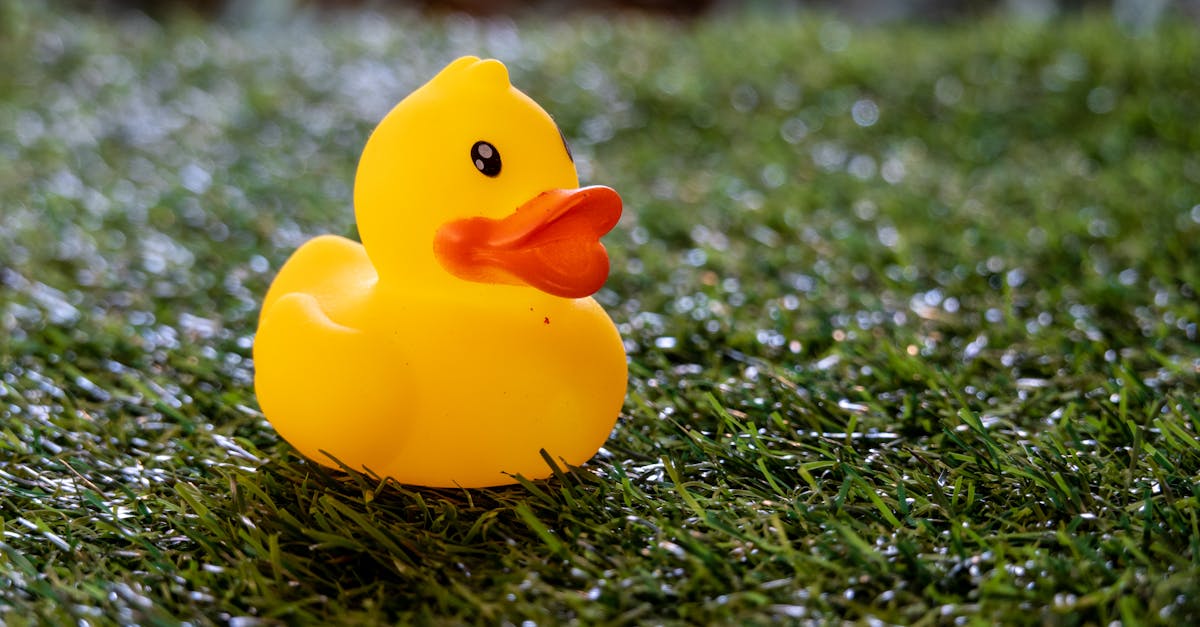 Evaluating the Lifespan of Your Artificial Grass