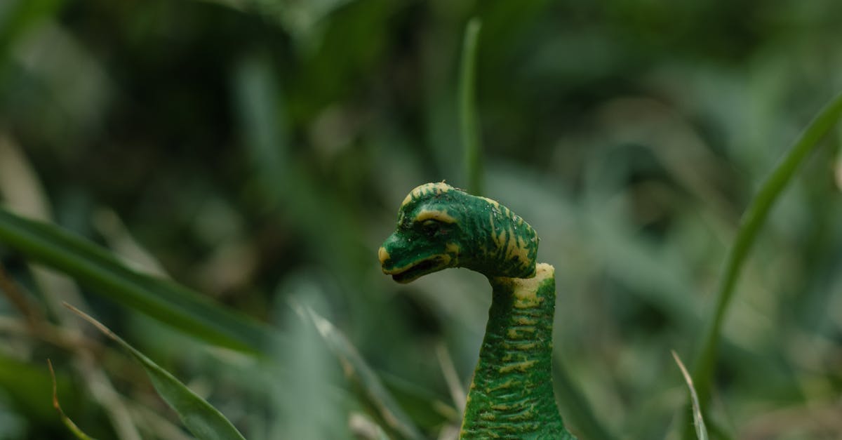 Hidden Costs to Expect When Installing Artificial Grass in Brisbane