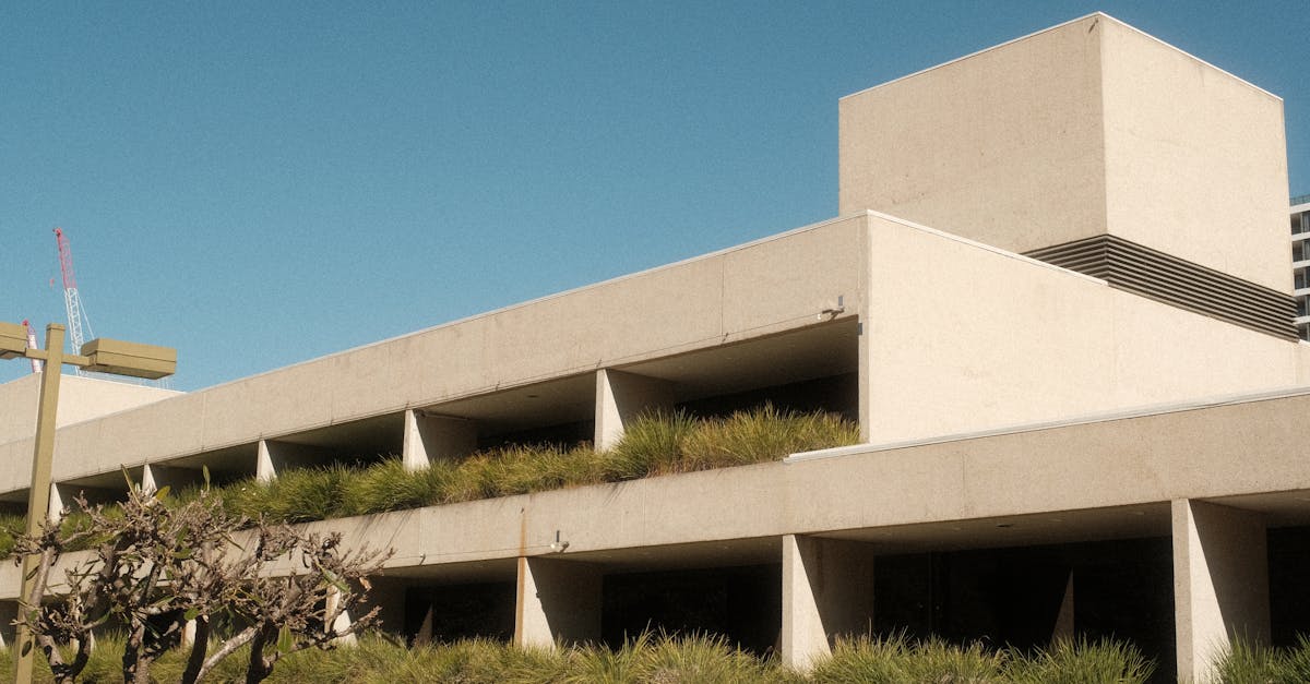 How Artificial Grass Promotes Biodiversity in Urban Areas