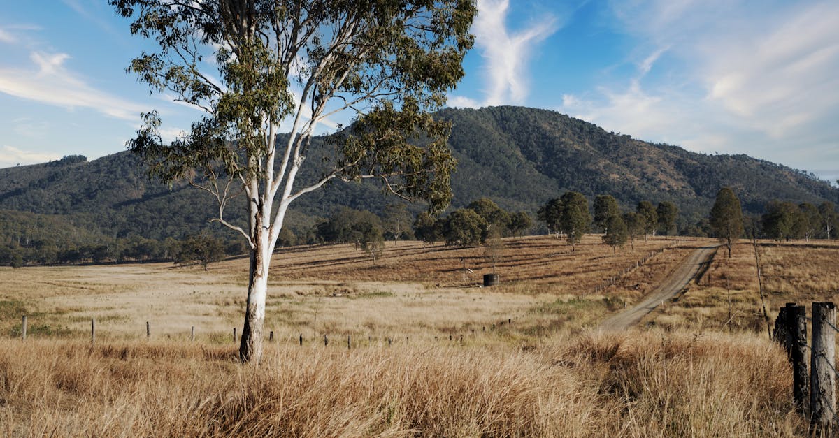 How to Clear the Area for Artificial Grass Installation