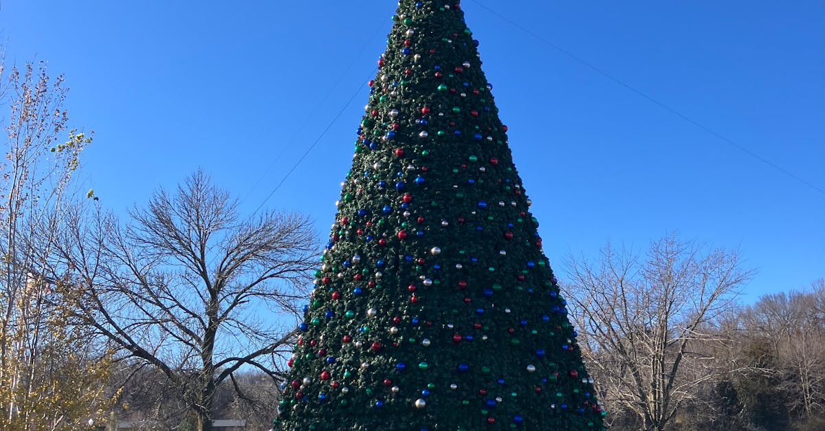 How to Properly Store Artificial Grass During Off-Seasons