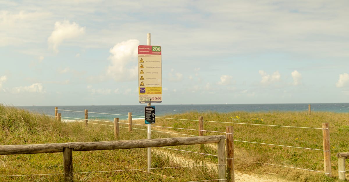 How to Save Money on Your Artificial Grass Installation Project