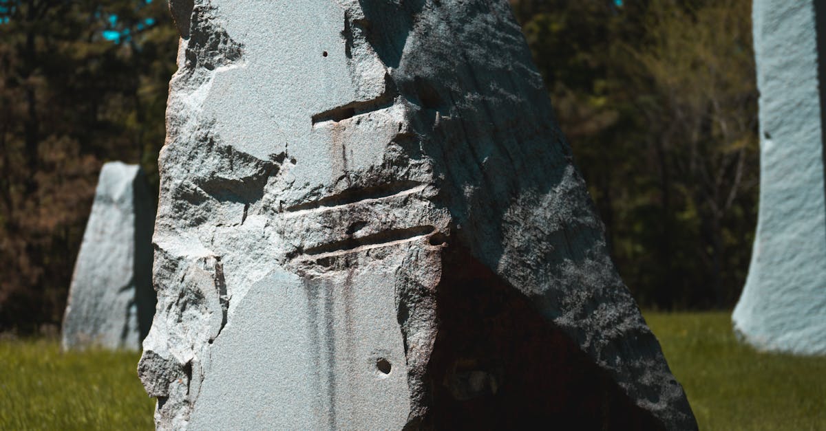 Key Equipment to Streamline Your Artificial Grass Installation Process