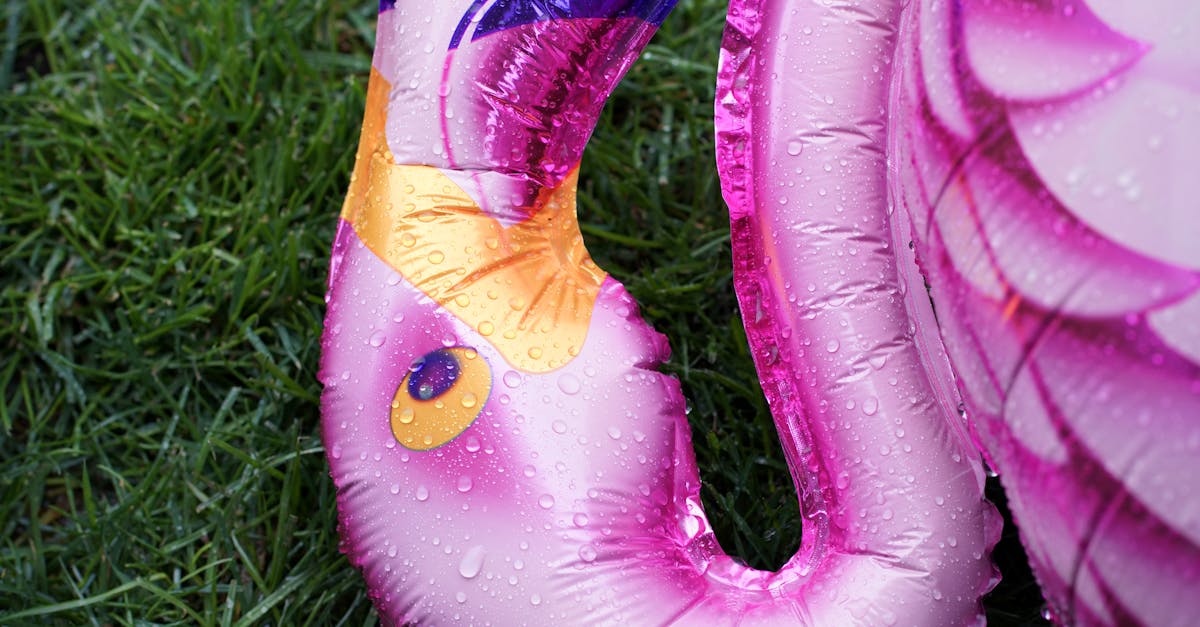 Professional vs DIY: Choosing Your Installation Approach