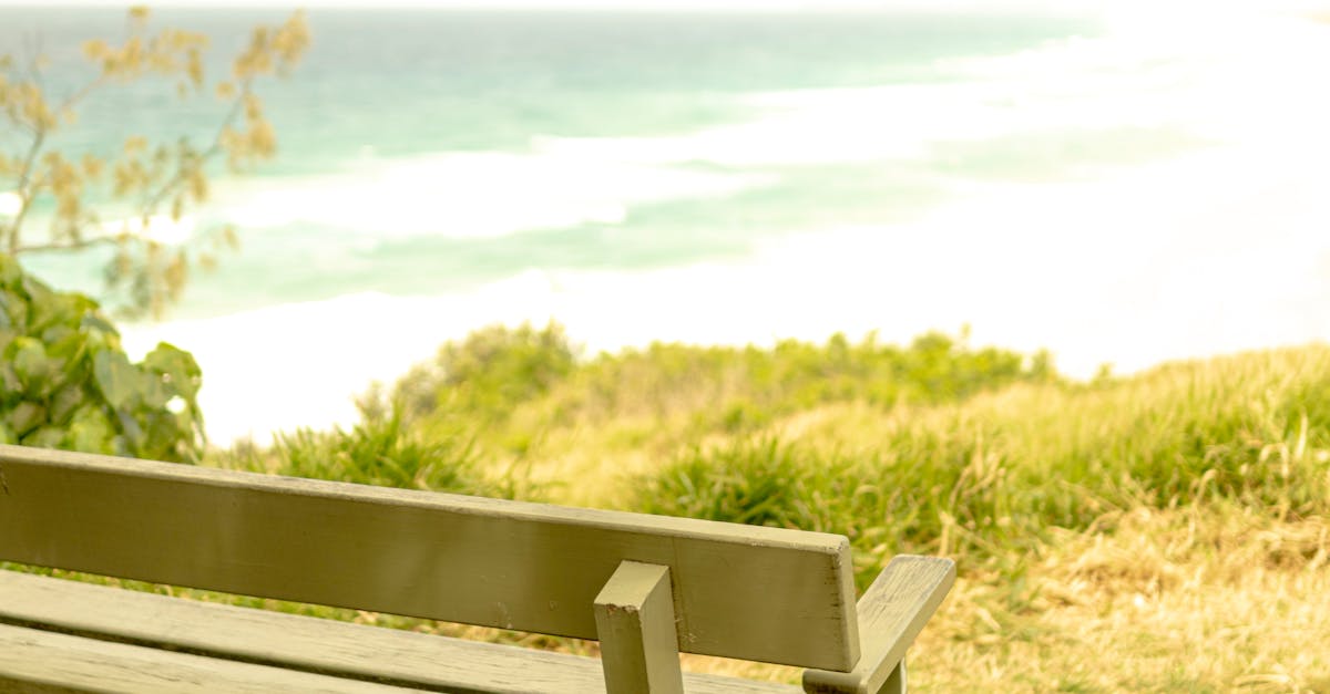 Signs Your Artificial Grass Needs Replacement: A Lifespan Guide