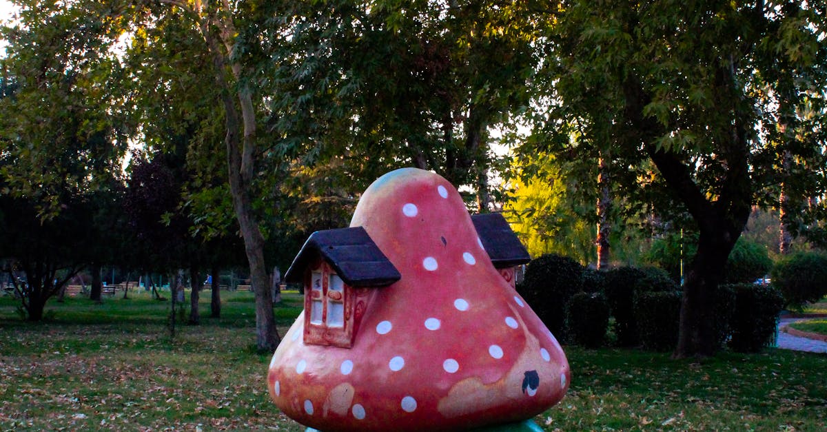 Strategies for Extending the Lifespan of Artificial Grass