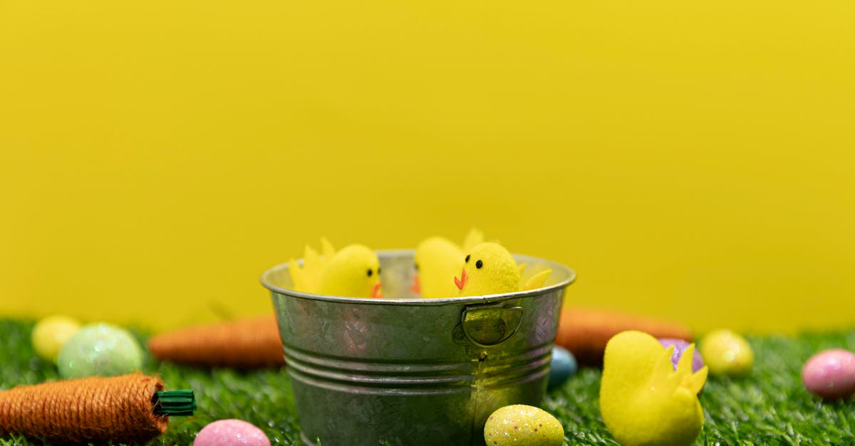 The Eco-Friendly Aspects of Installing Artificial Grass in Public Spaces