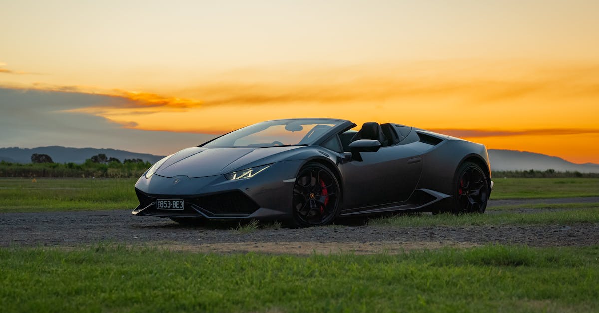 The Importance of Drainage in Site Preparation for Artificial Grass