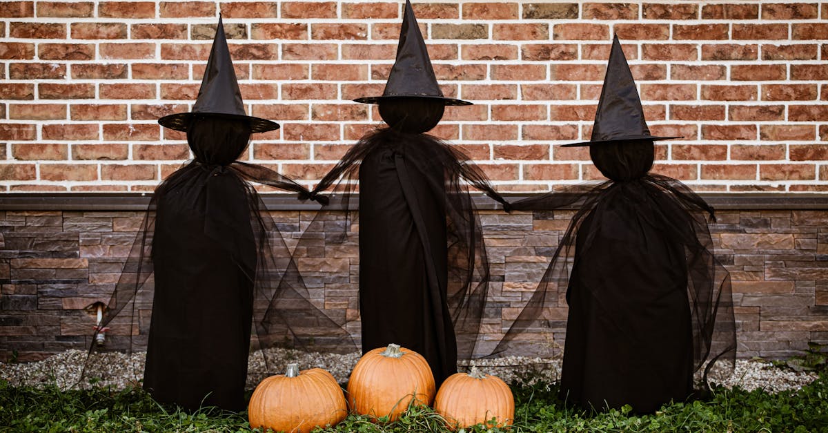 The Importance of Regular Pest Management for Synthetic Turf