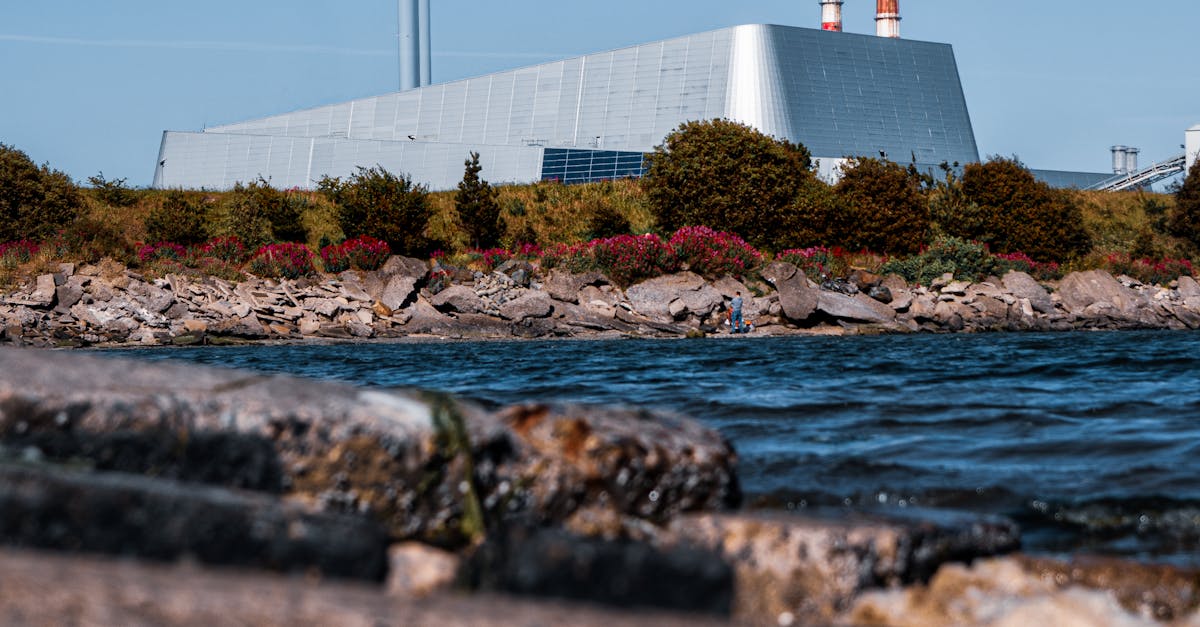 The Role of Insecticides in Maintaining Artificial Turf Integrity