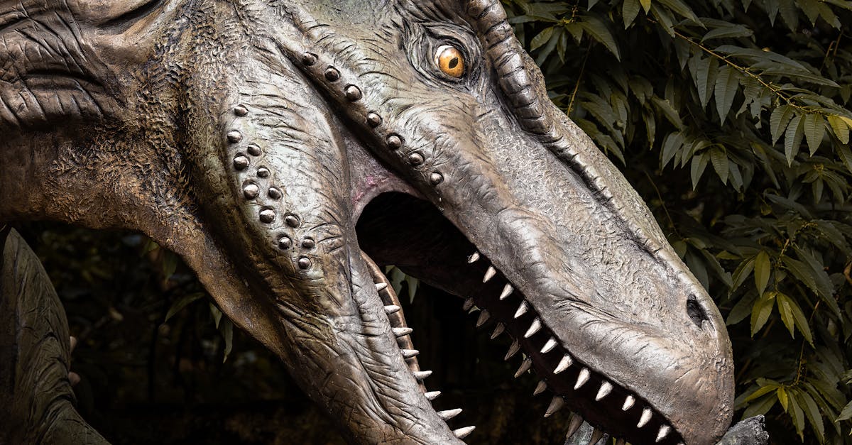 The Role of UV Resistance in Enhancing Durability of Artificial Turf