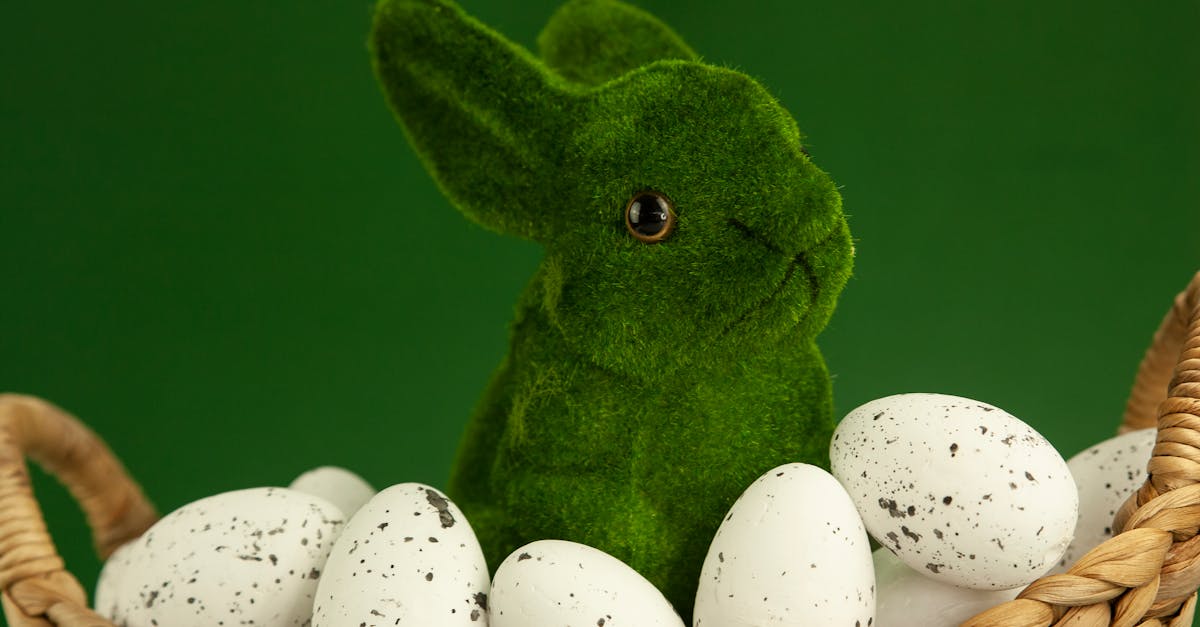 Understanding the Life Cycle of Pests in Artificial Lawns